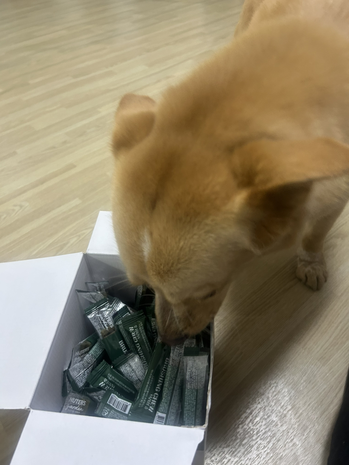리뷰 이미지