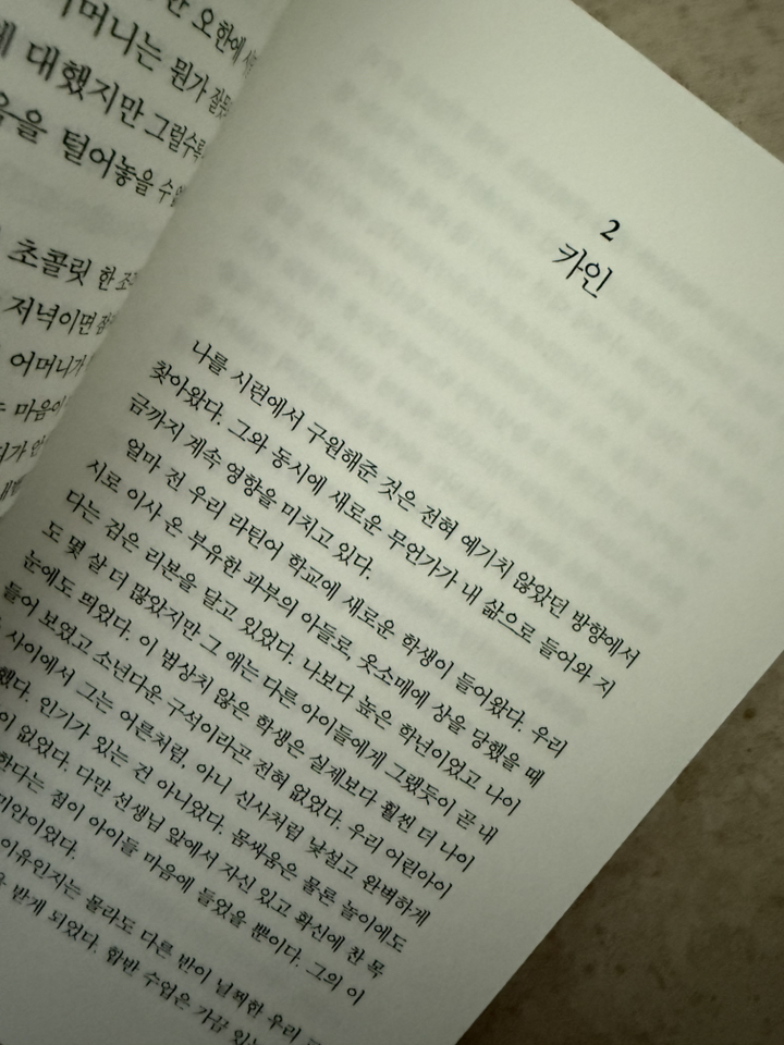 데미안: 오리지널 초판본 표지디자인 솔직 독서 후기 | 읽어볼 만할까? - 상품 이미지 2