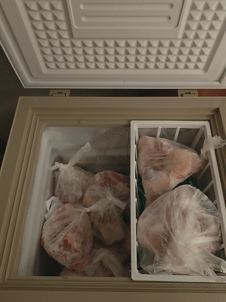 네리안 컴팩트한 미니 김치냉장고 슬림 1인가구 가정용 소형 1도어 저소음 개봉기 | 실사용 후기 - 상품 이미지 3