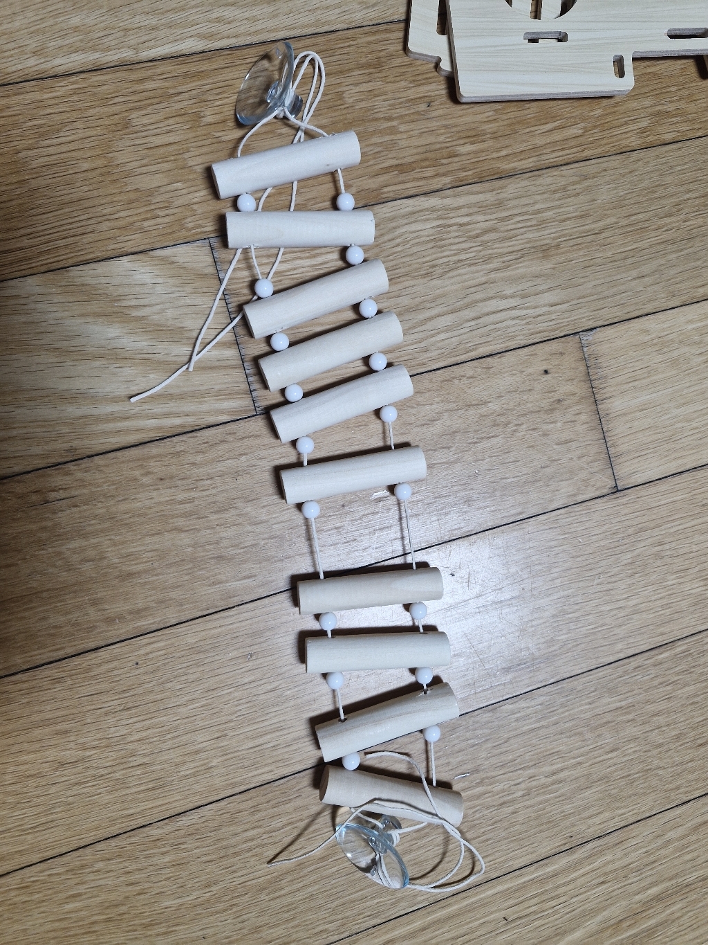 아스티렙 파스텔 게코 도마뱀 사다리 백업 출렁다리 파충류 놀이터 이미지 2