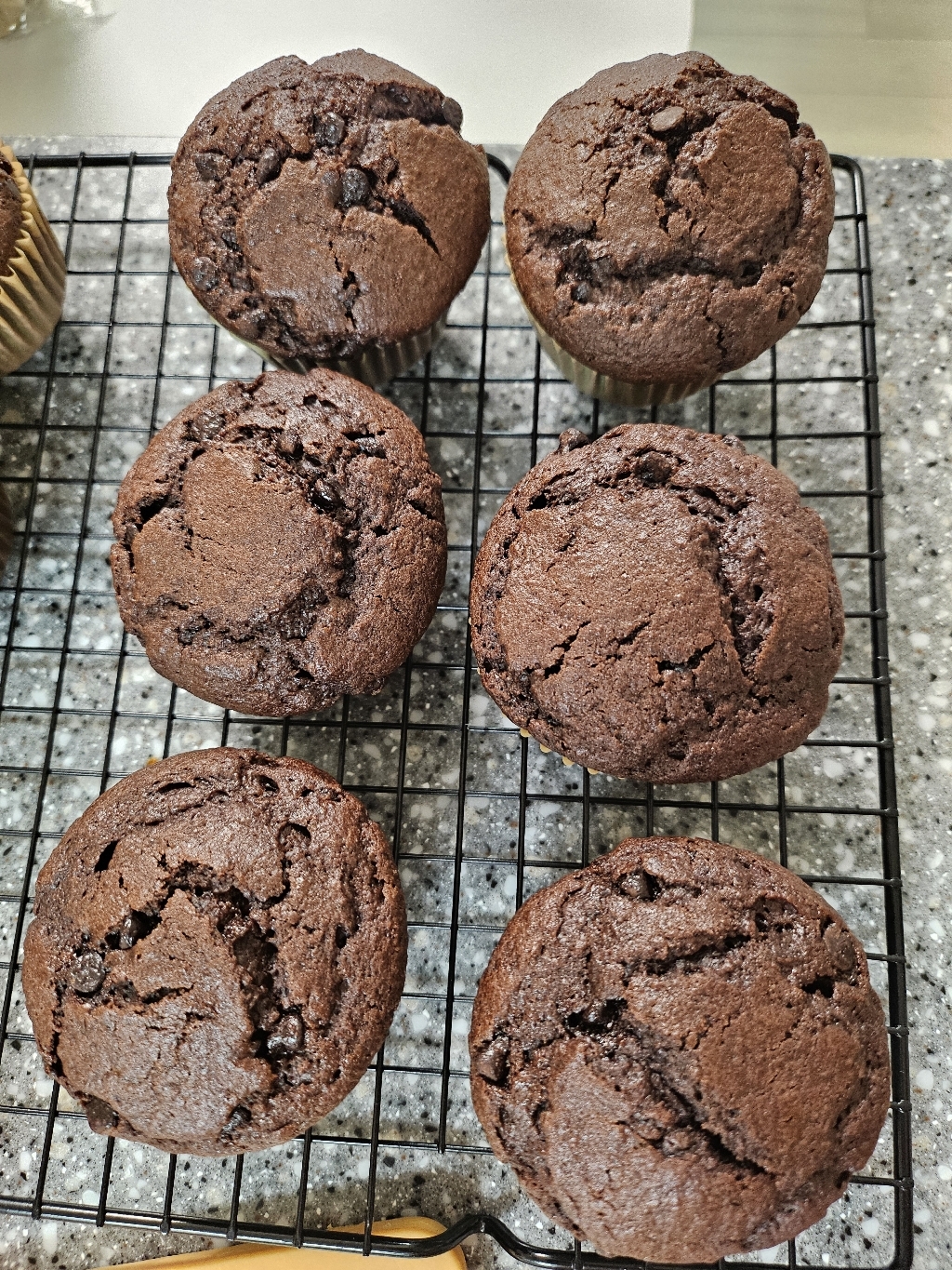 달콤달콤 꿀 사양벌꿀 2kg, 1개 솔직 후기 | 실사용자 리뷰 분석 - 상품 이미지 3