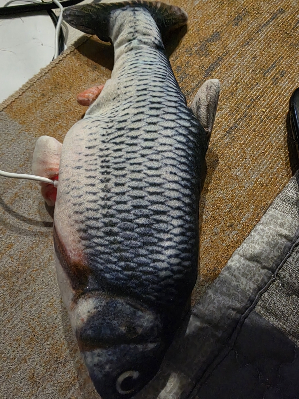 해밀펫 움직이는 고양이 강아지 장난감 솔직 후기 | 실제 사용자 리뷰 총정리 - 상품 이미지 4