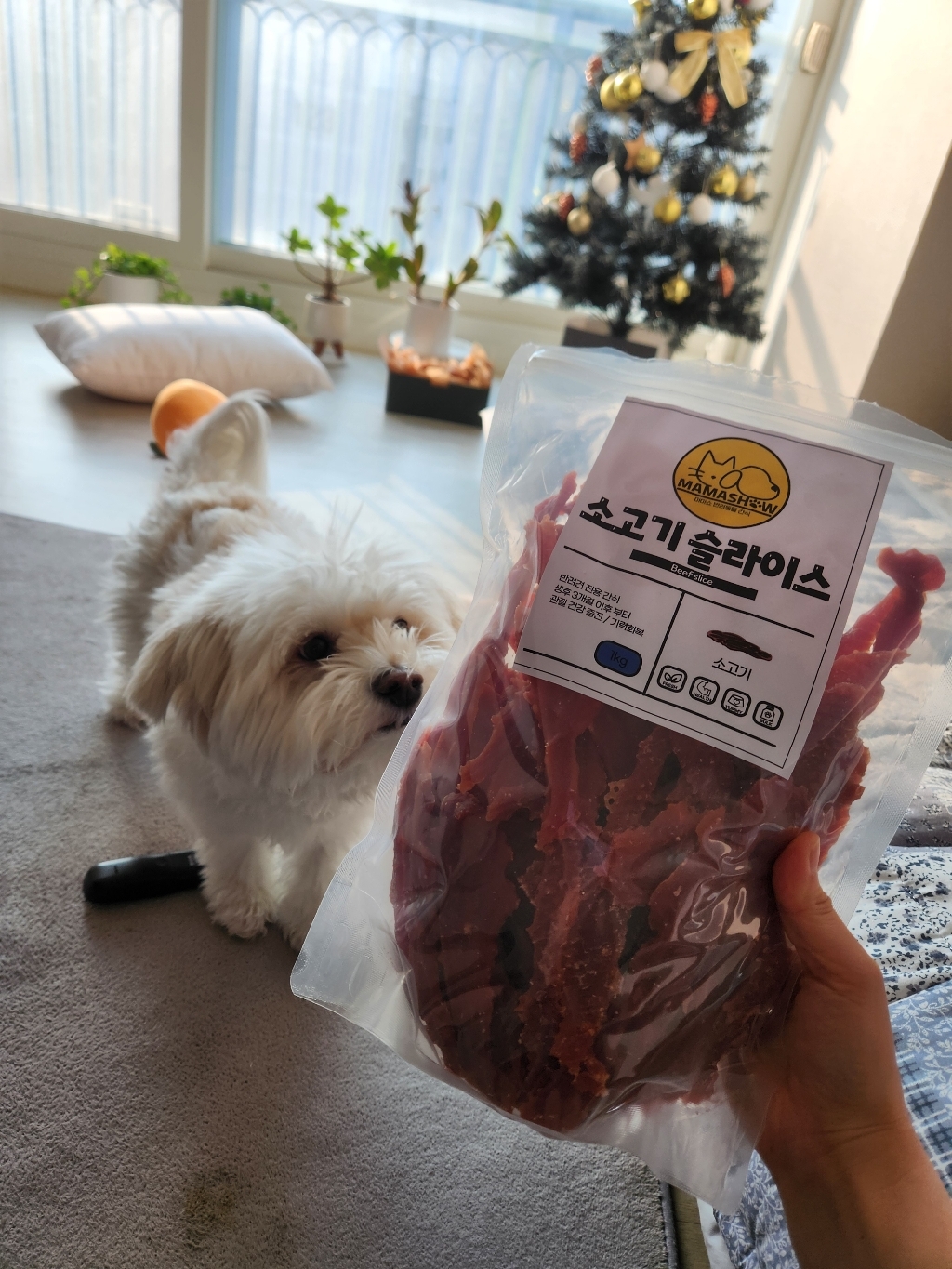 마마쇼 건강한 반려동물 간식 솔직 후기 | 실제 사용자 리뷰 총정리 - 상품 이미지 4