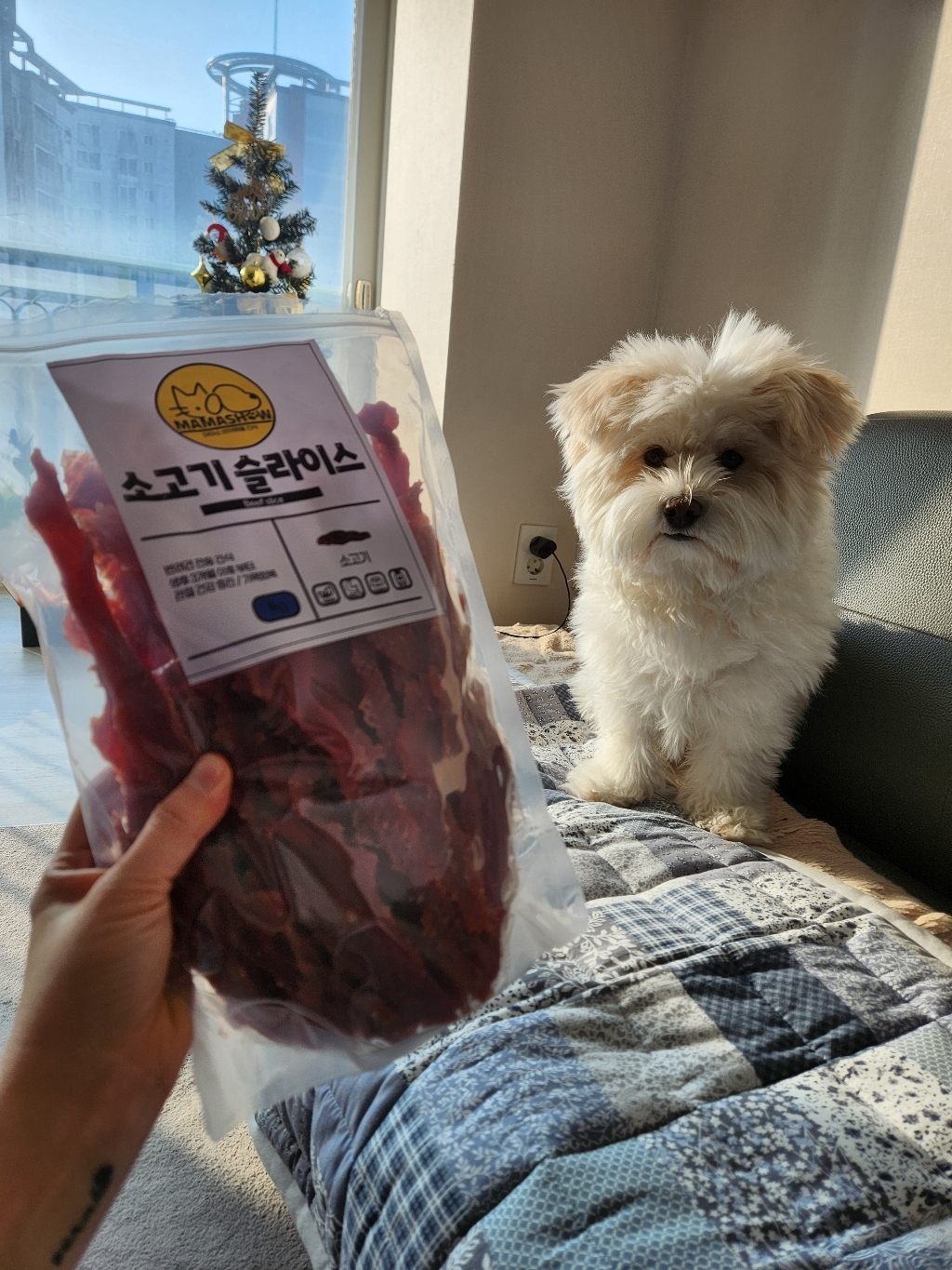 마마쇼 건강한 반려동물 간식 이미지 3