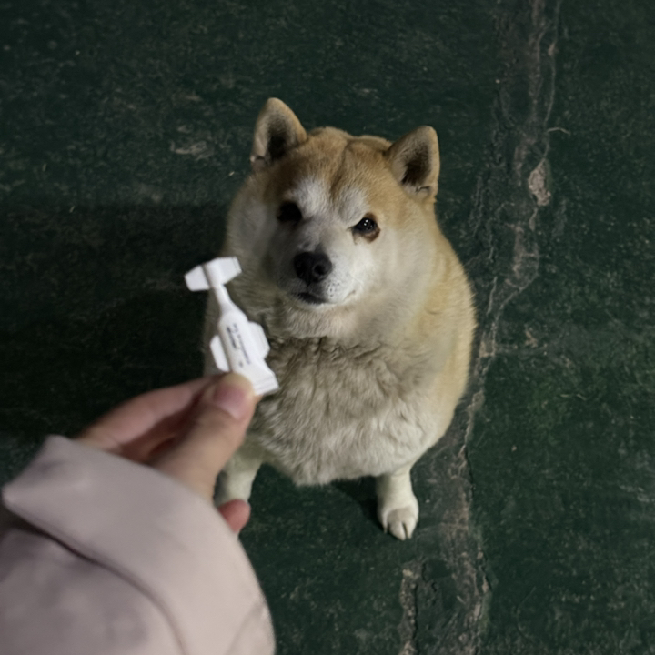 바이오스파틱스 스팟온 중소형견용 이미지 4