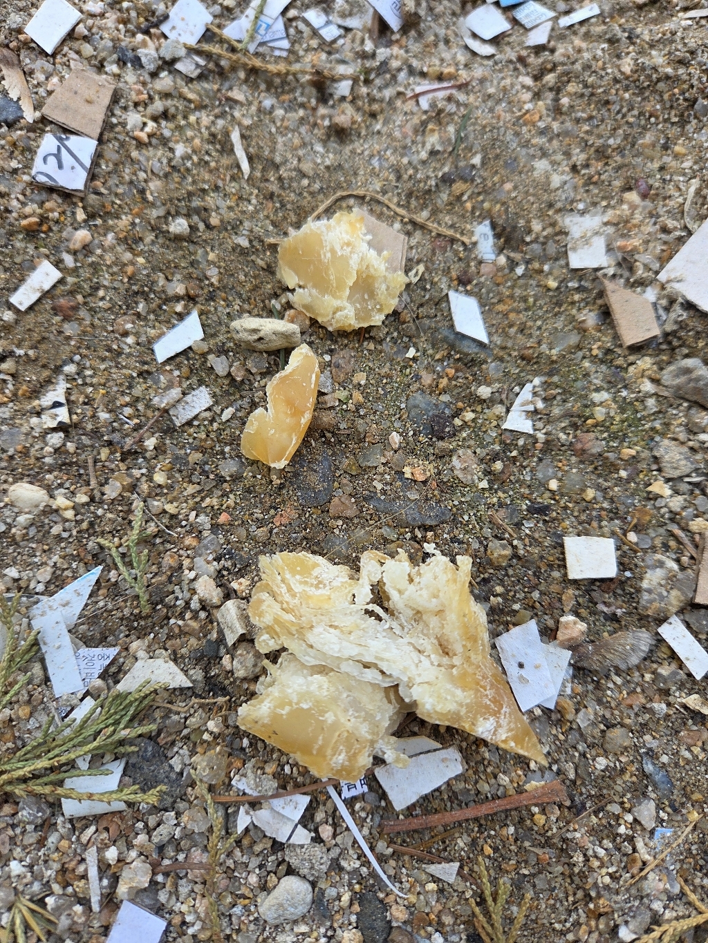 바른츄 고양이 간식 대용량 순살 닭가슴살 솔직 후기 | 실제 사용자 리뷰 총정리 - 상품 이미지 4