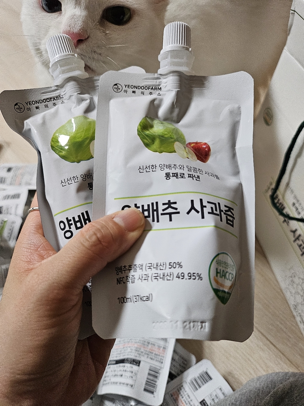 리뷰 이미지