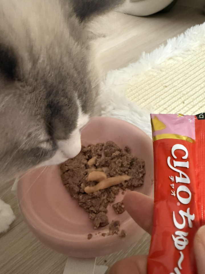 챠오츄르 하부요로 신장건강케어 버라이어티 SC-4261 40P 솔직 후기 | 실제 사용자 리뷰 총정리 - 상품 이미지 4