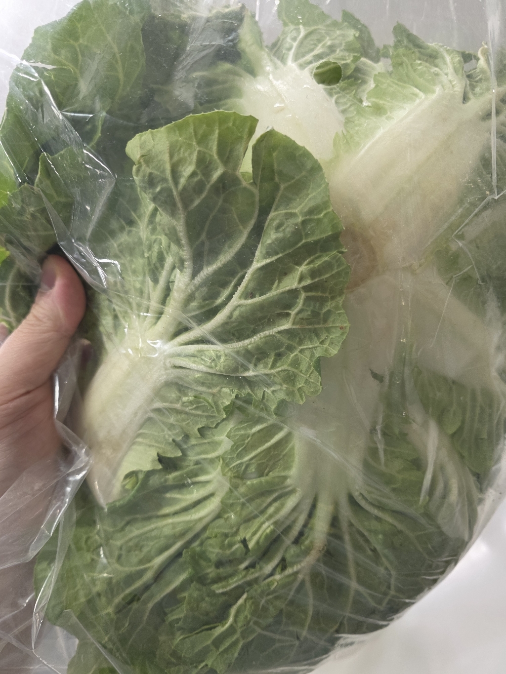 실사용 리뷰 이미지 6