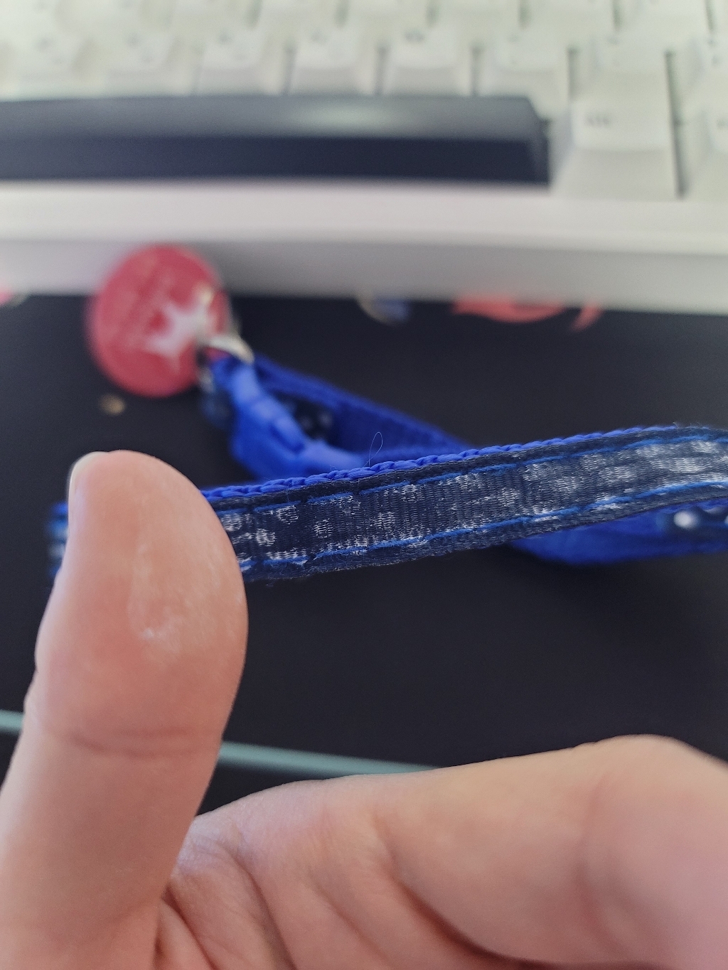 퍼플펫 반려동물 초경량 목줄 + 리드줄 세트 솔직 후기 | 실사용자 리뷰 분석 - 상품 이미지 3