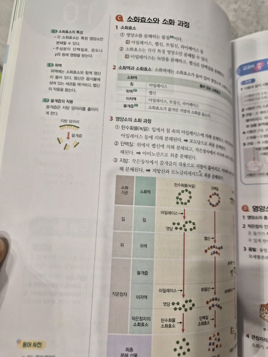 비상교육 중학교 과학 2 평가문제집 임태훈 (2026년) 이미지 4