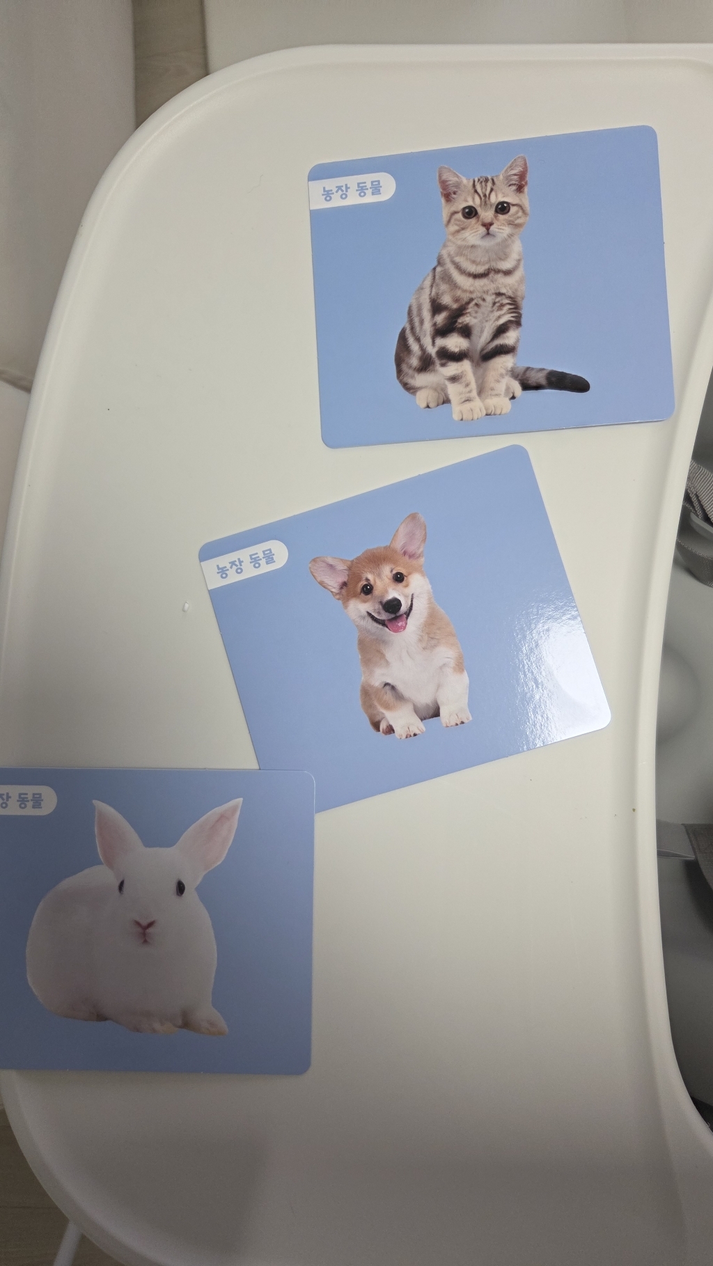 베이비 말놀이 카드 한글 영어: 농장 동물 + 야생 동물 + 바다 동물 + 곤충 + 과일 + 채소 + 음식 이미지 3