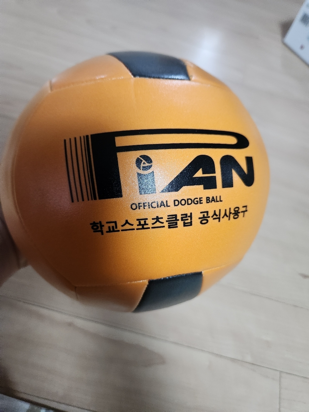 대한피구연맹 공식사용구 공인피구공 피안 학교 경기용 시합용 피구공 닷지볼 초등용 이미지 3