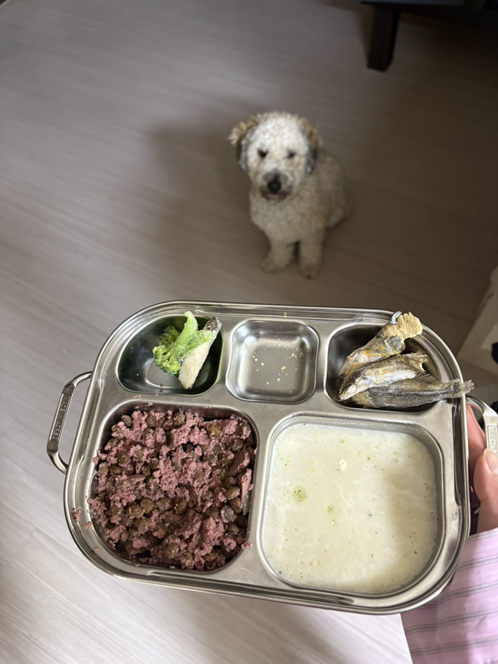 브릿 파테앤미트 생식내장포함 주식캔 강아지습식사료 이미지 3