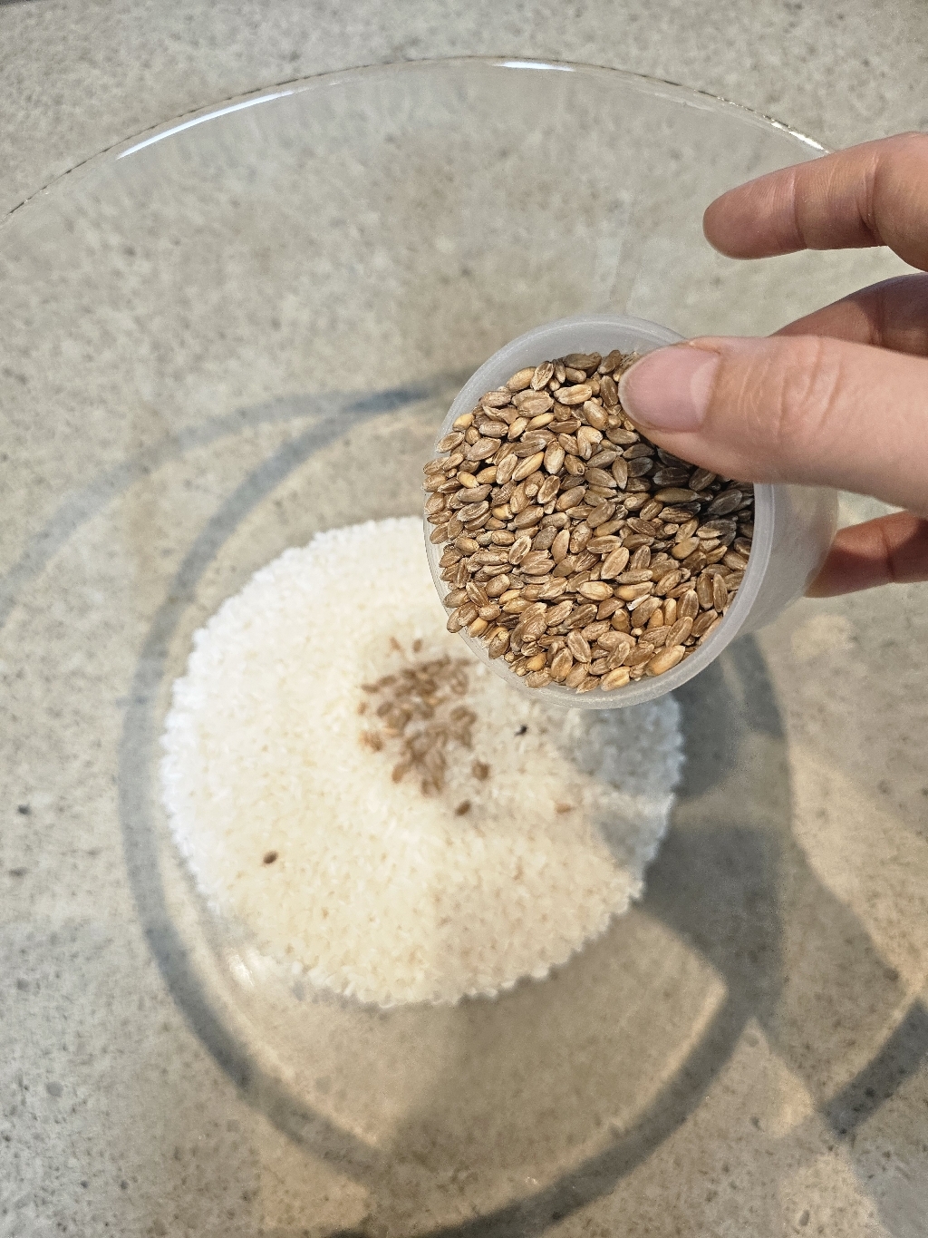 파로 스펠트 1kg, 1개 솔직 후기 | 실사용자 리뷰 분석 - 상품 이미지 2