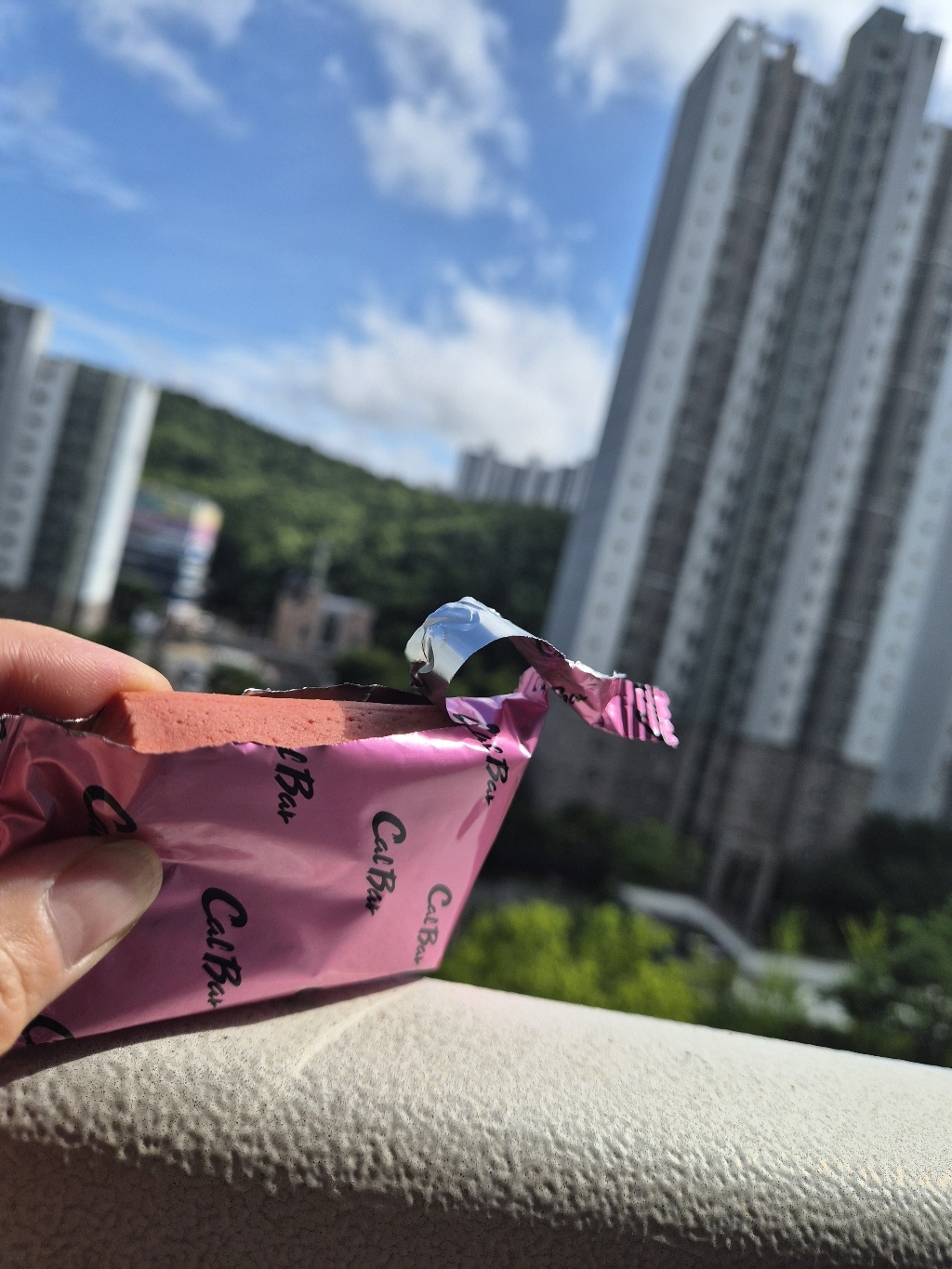 해태제과 칼로리바란스 요거트베리 7p 266g, 1개 맛있게 먹은 솔직 후기 - 상품 이미지 3
