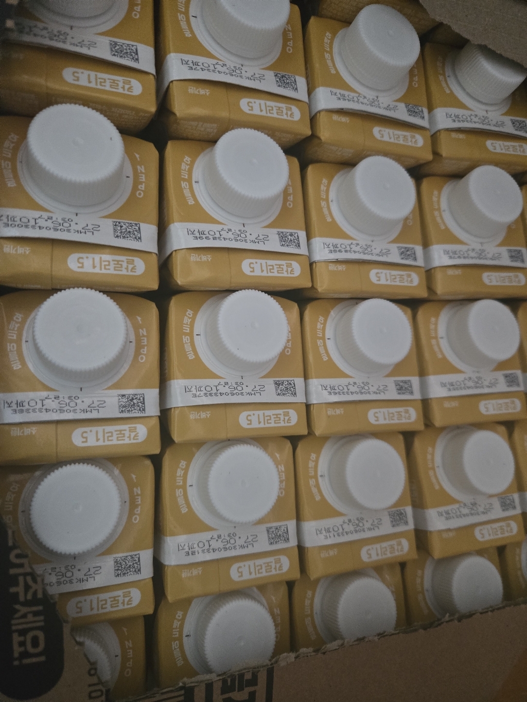 뉴케어 칼로리1.5 200mlx10개 고칼로리 고단백질 일반 환자 영양식 200ml, 10개 이미지 3