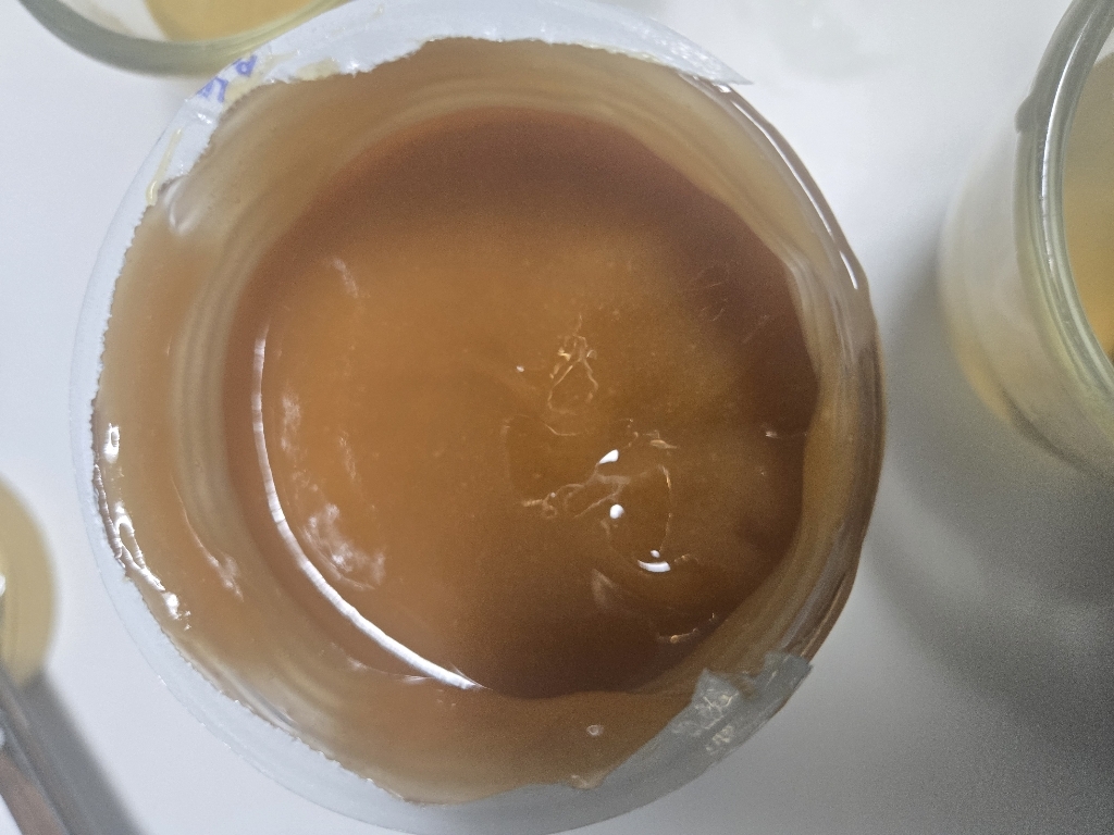 코스트코 퓨리티 마누카 꿀 UMF12+ 1kg 1kg, 1개 솔직 후기 | 실사용자 리뷰 분석 - 상품 이미지 1