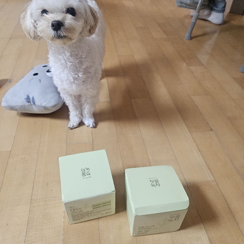 리뷰 이미지