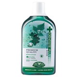 덴티스테 내츄럴 오랄린스 구강청결제, 700ml, 1개입