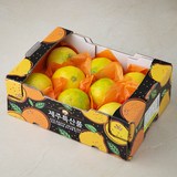 탐라황감 서귀포 황금향 8~11입, 2kg, 1개