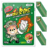 불곰하사 포켓형 핫핸드 핫팩, 100g, 30개