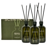센트하우스 스탠다드 디퓨저, 3개, 500ml, 인포레스트