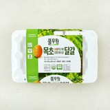 풀무원 1+등급 무항생제 목초란, 15구, 1개