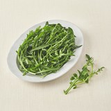 친환경 와일드 루꼴라 50g
