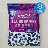 [로켓프레시] 그린팜 칠레산 블루베리 (냉동), 1kg, 1개