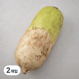 국내산 무, 2개, 1개입