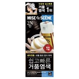 미쟝센 쉽고 빠른 거품 염색 새치전용