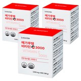 닥터루템 메가루템 비타민C 3000, 180g, 3개