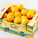 [로켓프레시] 탐라황감 당도선별 10brix 감귤 로열과