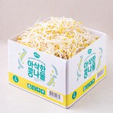 [로켓프레시] 맑은물에 아삭한 콩나물, 2kg, 1개