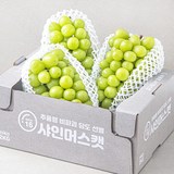 [로켓프레시] 한반도 비파괴 당도선별 샤인머스켓