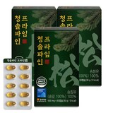 청솔 파인 솔잎농축 솔잎 송침유 정품, 60회분, 3개