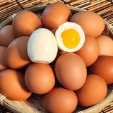보드레 담백 촉촉한 반숙란, 1개