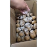 감자 장기보관 식용베이킹소다 제니오숲