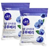 [개별급속동결] A등급 미국산 세척 냉동 블루베리, 1kg, 2개