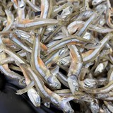 고추장 찍어 먹는 햇멸치 100g