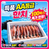 [한치AAA특등급] 탱탱쫀득 한치 총알한치 한치통찜, 500g (한치A급), 1박스