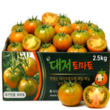 GAP인증 탱글탱글 고당도 대저토마토