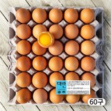 농장직송 항생제 없는 신선한 계란 대란, 60구, 1개