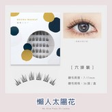 懶人太陽花 B