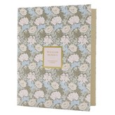 威廉莫里斯菊花 × 1個