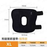 XL