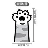 虎斑貓 × 1個
