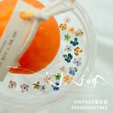 Vintage秋冬復古色 × 1個