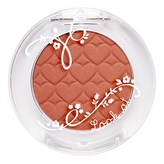 솔솔 말린 솔방울